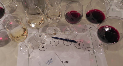 A sample of wines for wine tasting